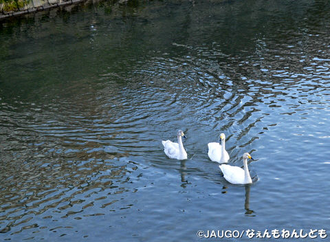 DSC_0003.jpg