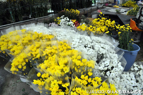 DSC_0004_copy.jpg