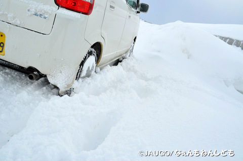DSC_0005.jpg