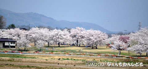 DSC_0012-001.jpg