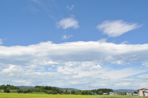 DSC_0015-1.JPG