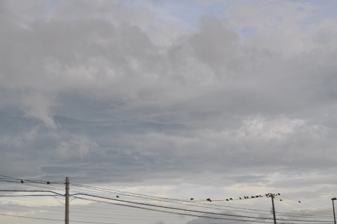 DSC_0017-1.JPG