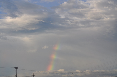 DSC_0023-1.JPG