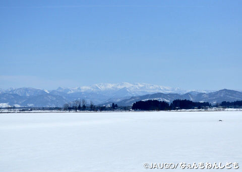 DSC_0032.jpg