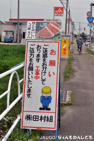 DSC_0049_copy.jpg