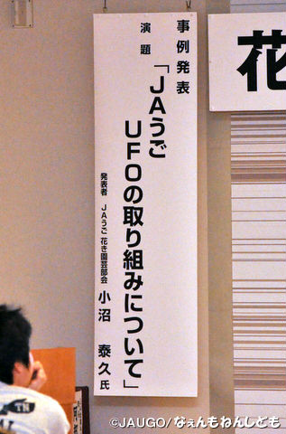 DSC_0049_copy.jpg
