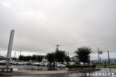 DSC_0050-001_copy.jpg