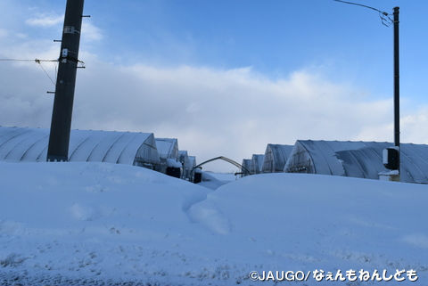 DSC_0158.jpg