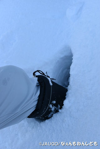 DSC_0162.jpg