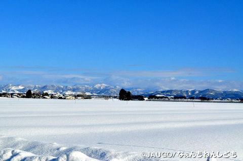 DSC_0168.jpg