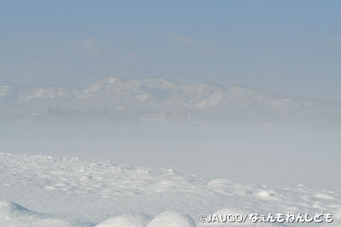 DSC_0177.jpg