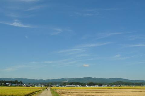 DSC_0204.JPG