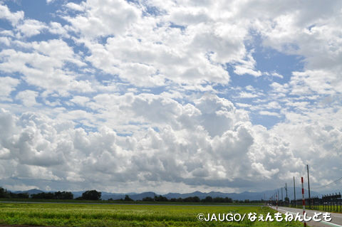 DSC_0290-001.jpg