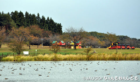 DSC_0301_copy.jpg