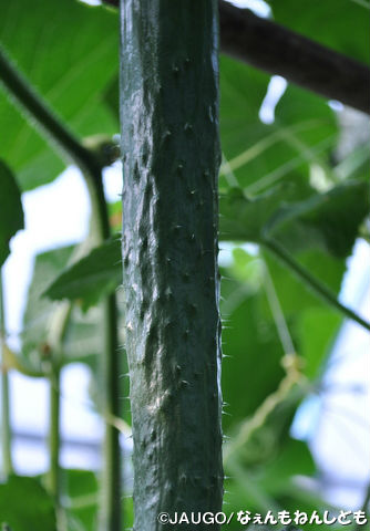DSC_0359_copy.jpg