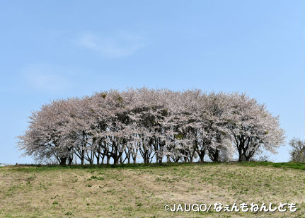 DSC_0383a.jpg