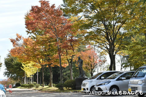 DSC_0837.jpg