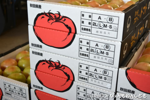 トマト1kg新箱20160815 010.jpg