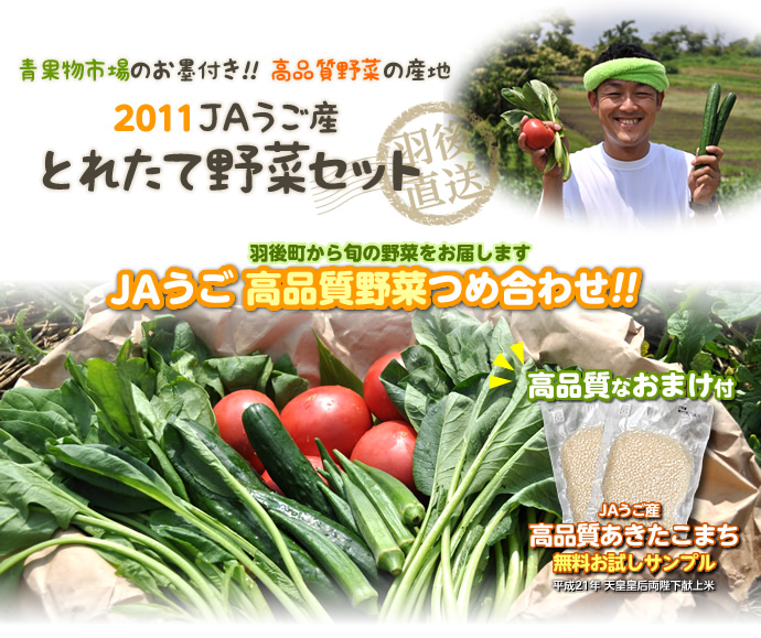 ؃Zbg2011摜.jpg