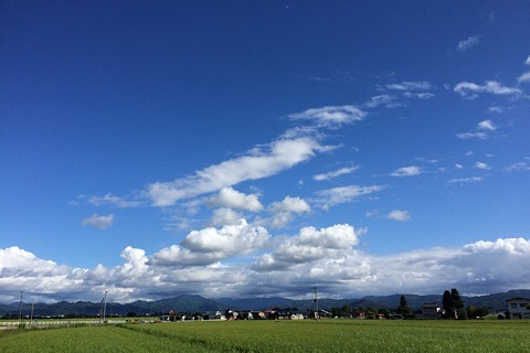 EC923D23-B68B-41EF-B64C-942962DFF6EF.jpeg
