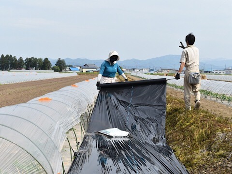 EFDA77EA-D653-4EDD-A131-B045DF3F0882.jpeg