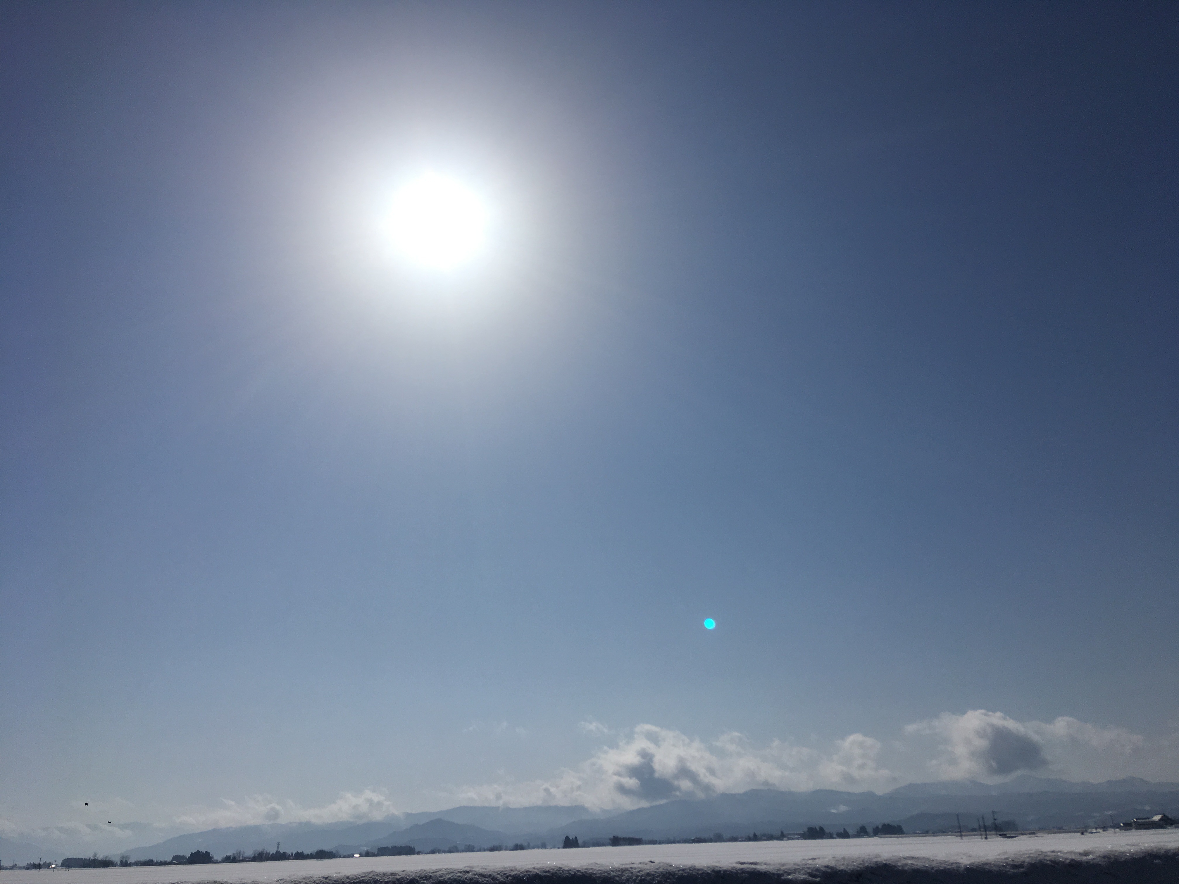 FFC8F3A8-372F-4495-ADBD-22E3BD9412A2.jpeg