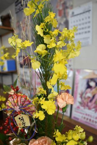 IMG_1033.jpg