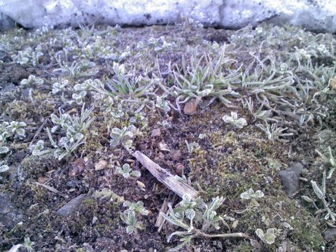 Picture031312_061902.jpg