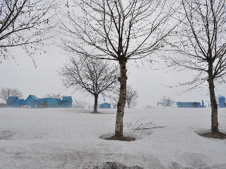 SSC_0220.jpg