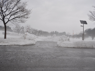 SSC_0223.jpg