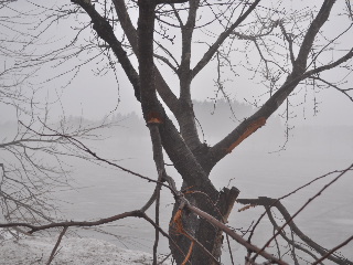 SSC_0224.jpg