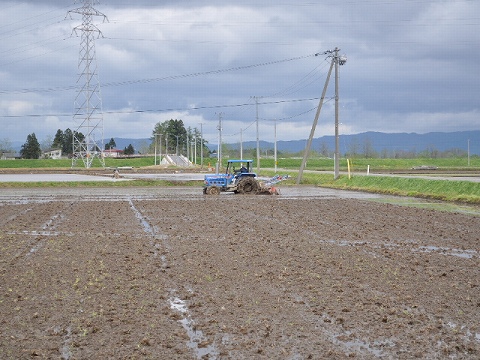 SSC_0463.jpg