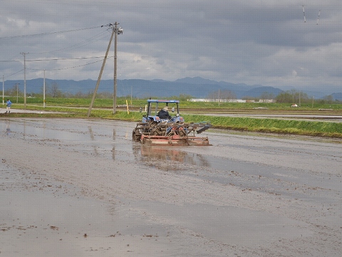 SSC_0464.jpg