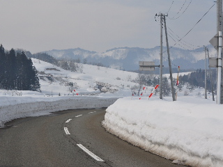 SSC_0574.jpg
