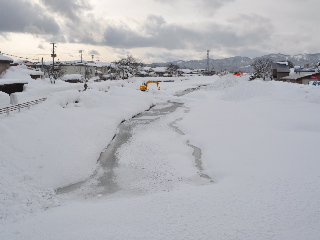 SSC_0803.jpg