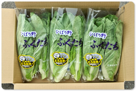 fukutachi_item.jpg
