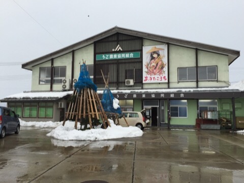 image-6394a.jpeg