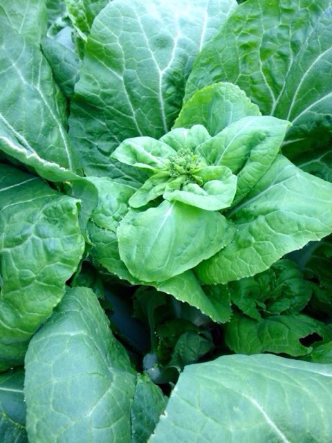 image-7f489.jpg