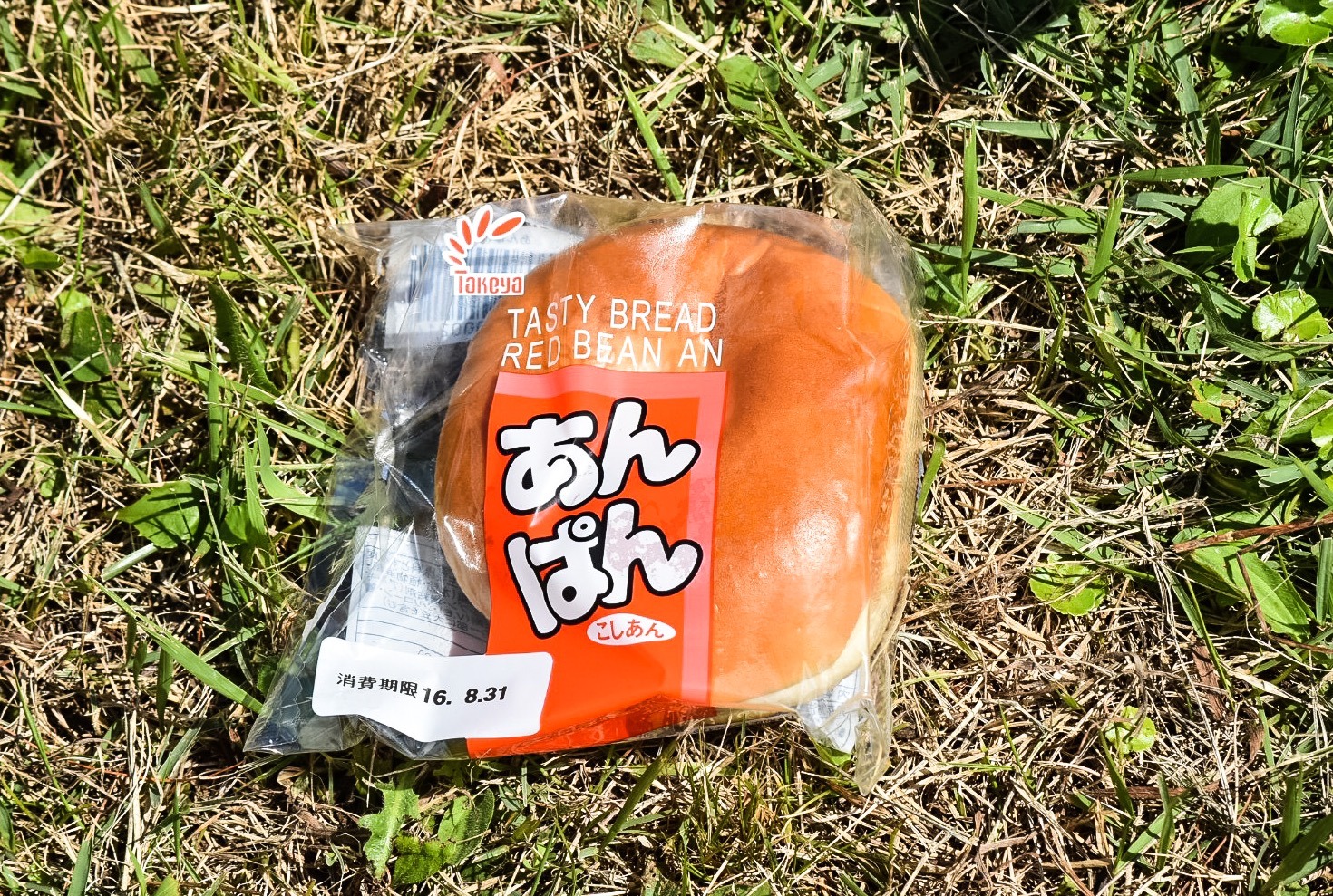 image.jpeg