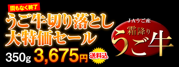 tokubai_2013_7.jpg